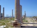 Colonnaded road