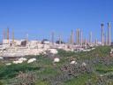 Columns and columns