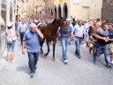 Supporters of the Contrada Aquila
