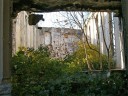 Nature has reclaimed the interior